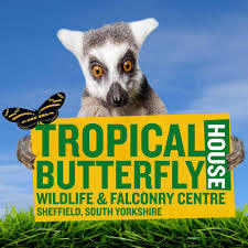 Tropical Butterfly House Wildlife And Falconry Centre
