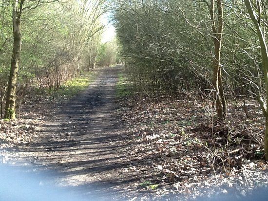 Beverley Parks Nature Reserve
