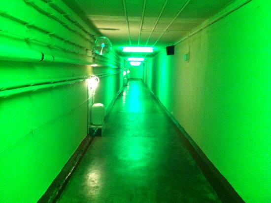 Visit The Bunker