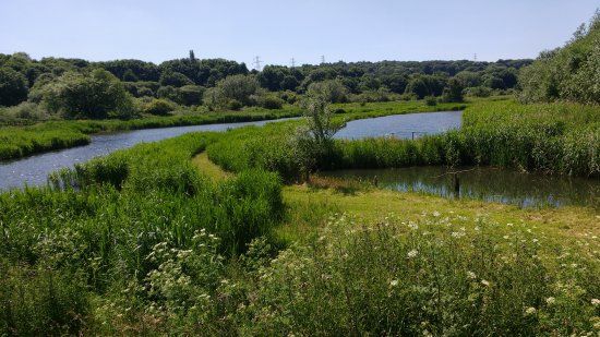 Rodley Nature Reserve