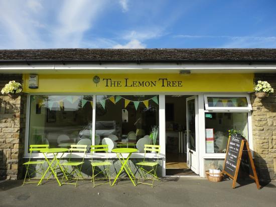 The Lemon Tree