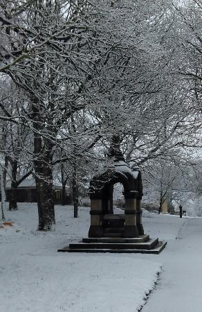 Crow Nest Park