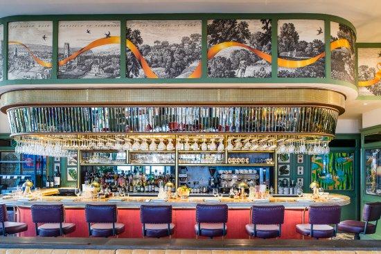 The Ivy