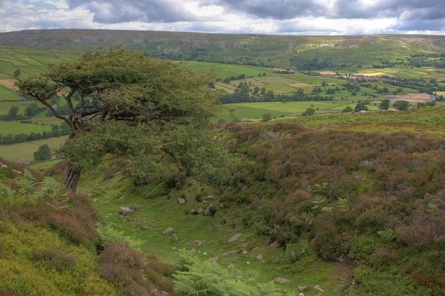 Maiden Castle