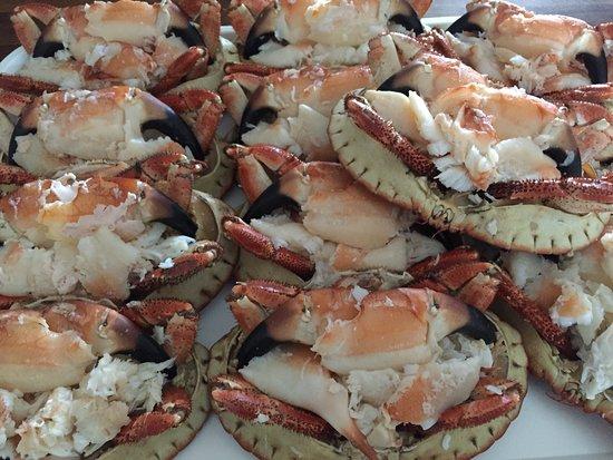 Ocean Shellfish