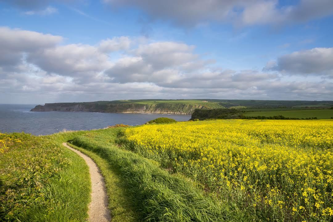 Cleveland Way