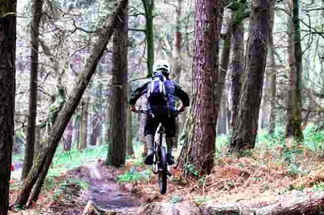Wortley Cycles