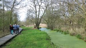 Askham Bog