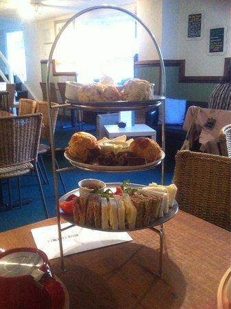 The Willow Branch