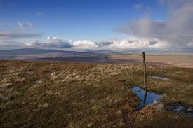 Plover Hill
