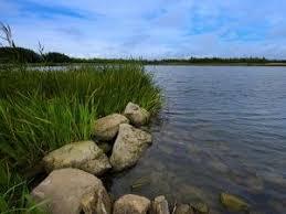 Anglers Country Park