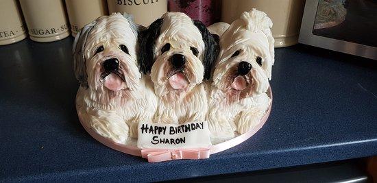 Sweet Temptation Cakes by Nikkie French