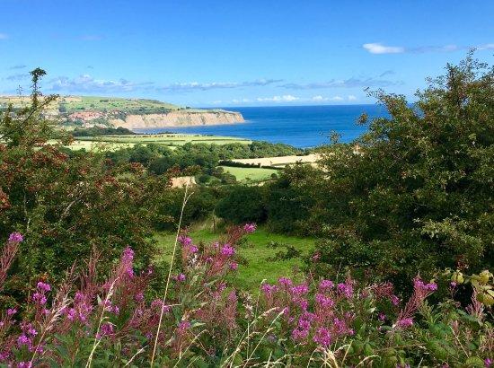 Along the Coast at Robin Hood's Bay