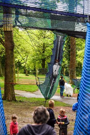 Treetop Nets