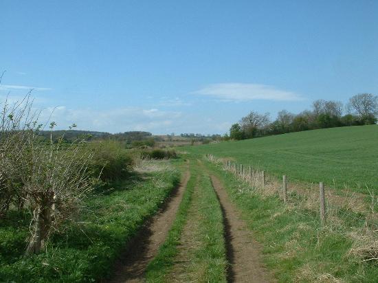 Ripon Rowels Walk