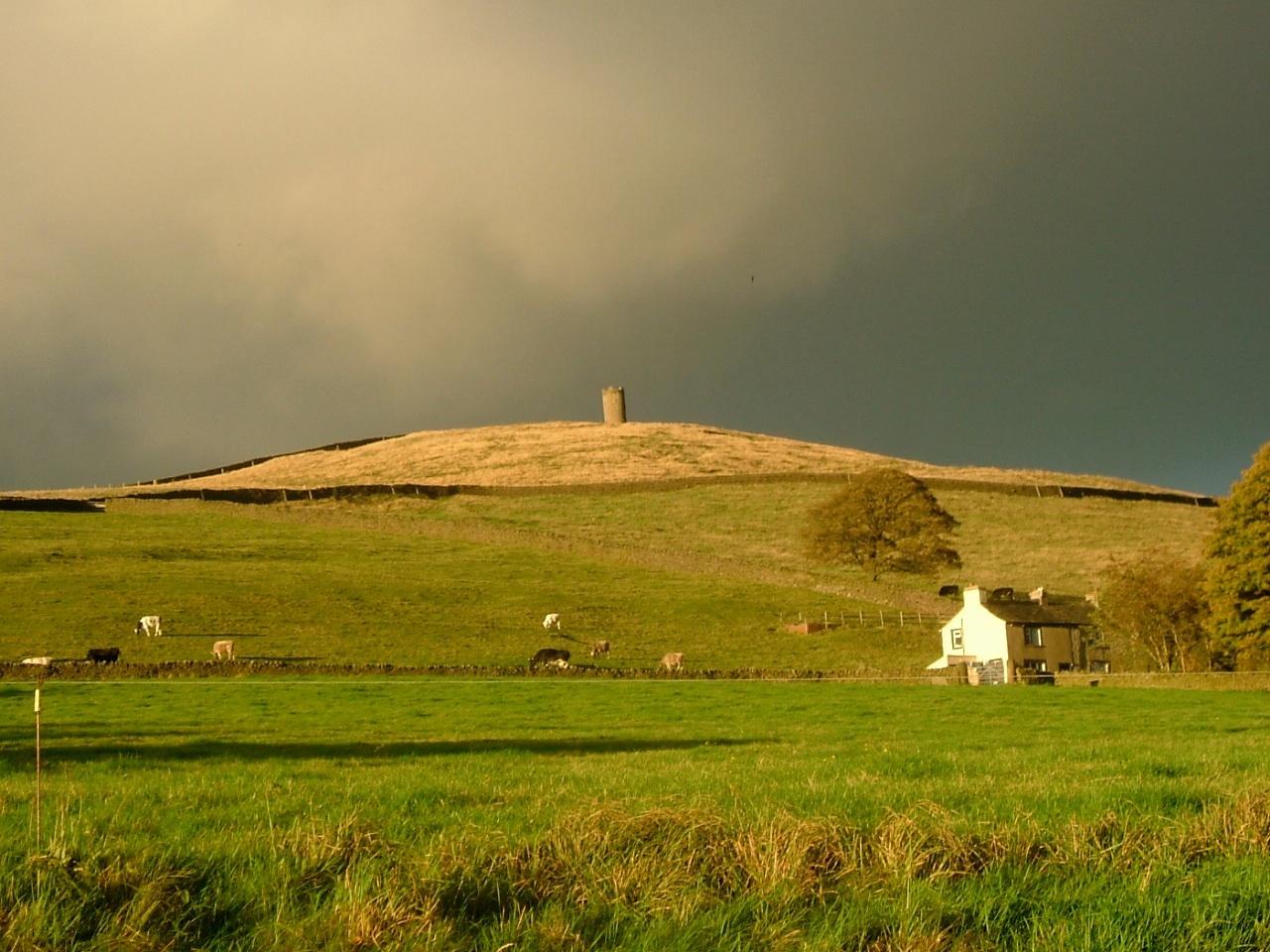 Waddington Arms