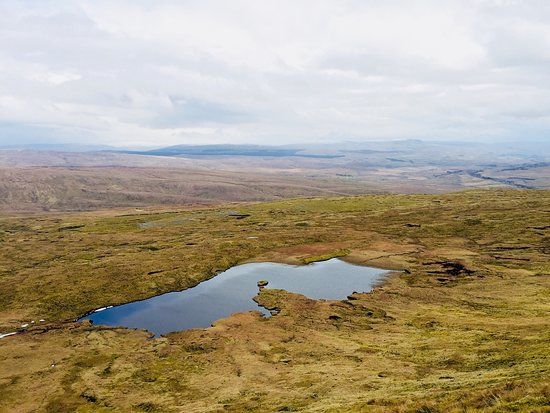 Whernside