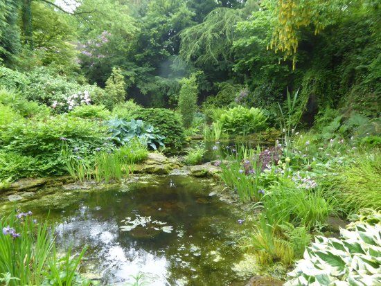 Wentworth Garden Centre