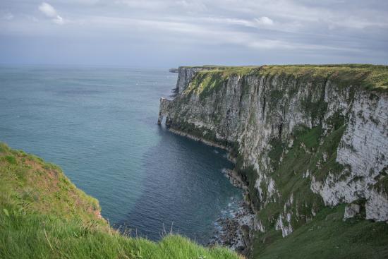 RSPB Bempton Cliffs Seabird Centre