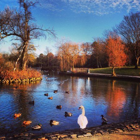 Ropner Park