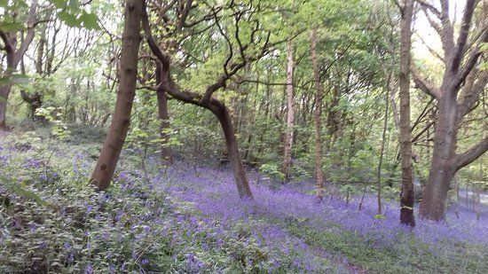 Middleton Park