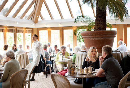 Bettys Cafe Tea Rooms