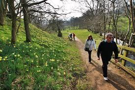 Low Mill Car Park for Farndale Daffodil Walk